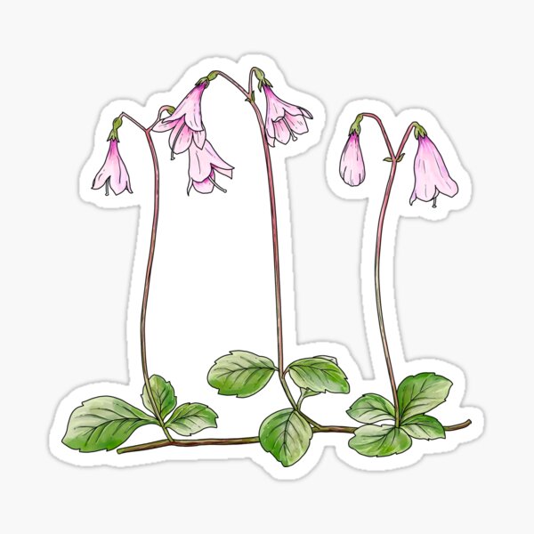 Item preview, Nordic Wildflower Linnea Borealis Twinflower Pretty Pink Flowers floral designed and sold by funnytshirtemp.