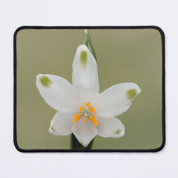 Item preview, Summer snowflake designed and sold by JEZ22.