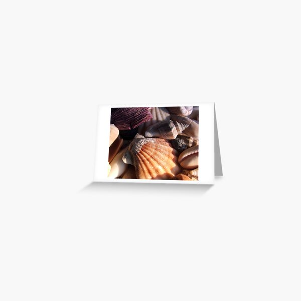 Shells Greeting Card