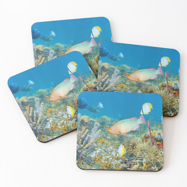 Item preview, Coral reef marine life underwater panorama designed and sold by Seaphotoart.
