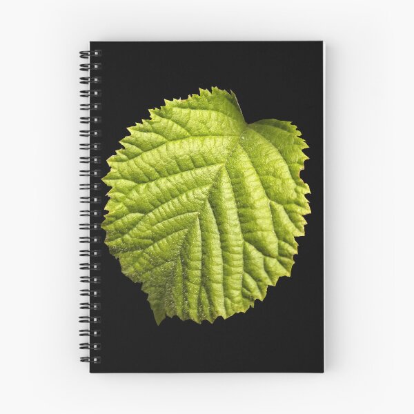 Item preview, Raspberry Leaf designed and sold by ThePlantGoblin.