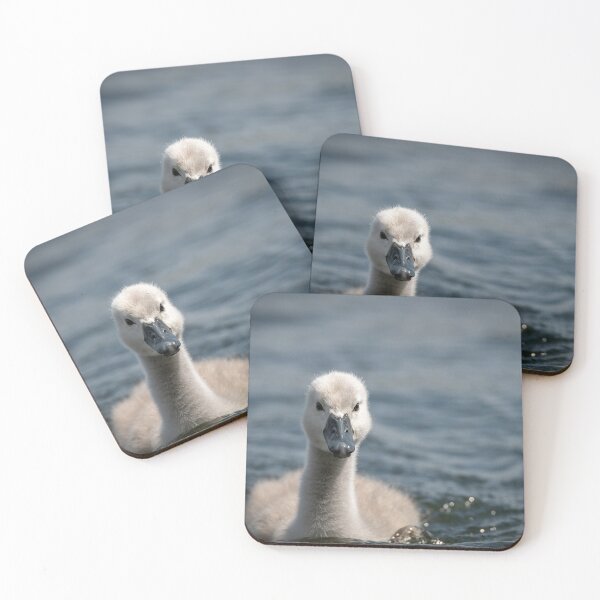 Item preview, Cygnet - Swan  designed and sold by Darren Wilkes.