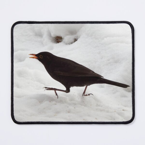 Item preview, Hurry up. Eurasian blackbird designed and sold by Jouko Lehto Photography.