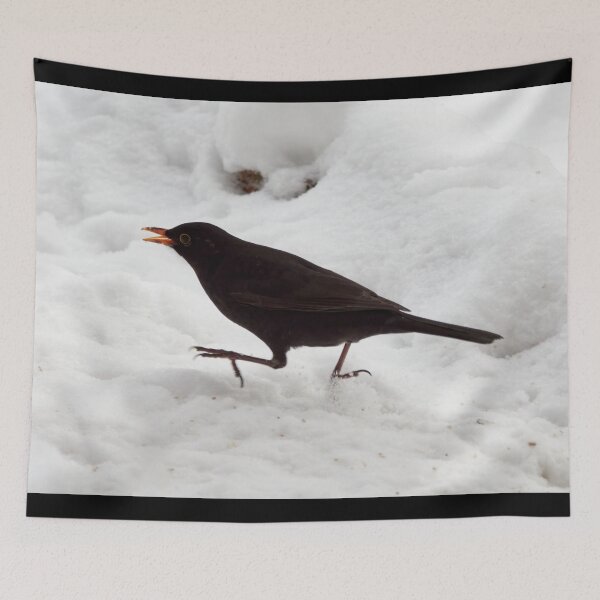 Item preview, Hurry up. Eurasian blackbird designed and sold by Jouko Lehto Photography.