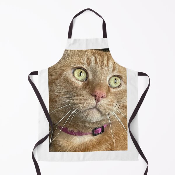 Item preview, Mr. Kitty designed and sold by Kimcutsglass.