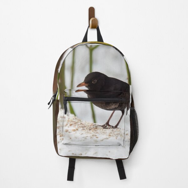 Item preview, Framed and spotted. Eurasian blackbird designed and sold by Jouko Lehto Photography.