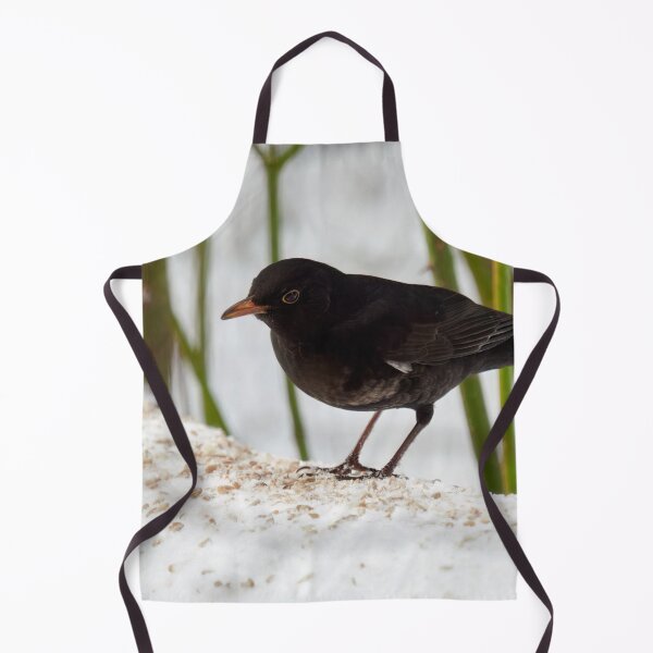 Item preview, Framed and spotted. Eurasian blackbird designed and sold by Jouko Lehto Photography.