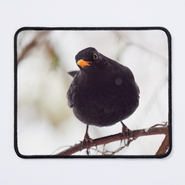 Item preview, Just one question. Eurasian blackbird designed and sold by Jouko Lehto Photography.