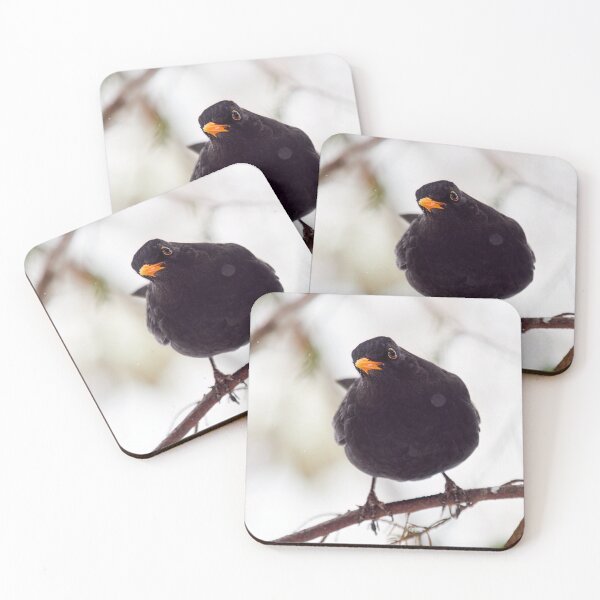Item preview, Just one question. Eurasian blackbird designed and sold by Jouko Lehto Photography.