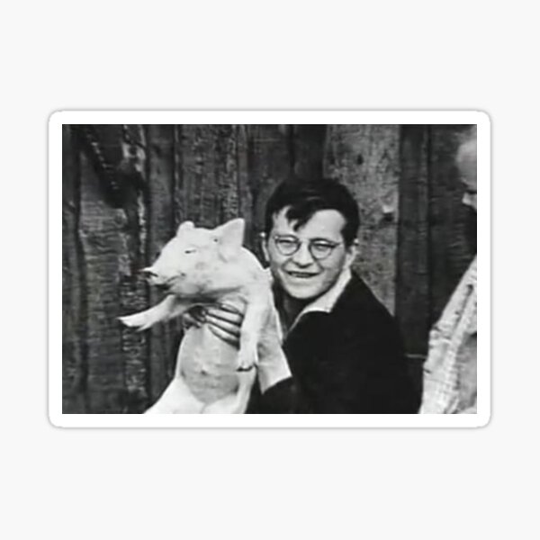 Item preview, shostakovich funny pig designed and sold by adamnuggett.