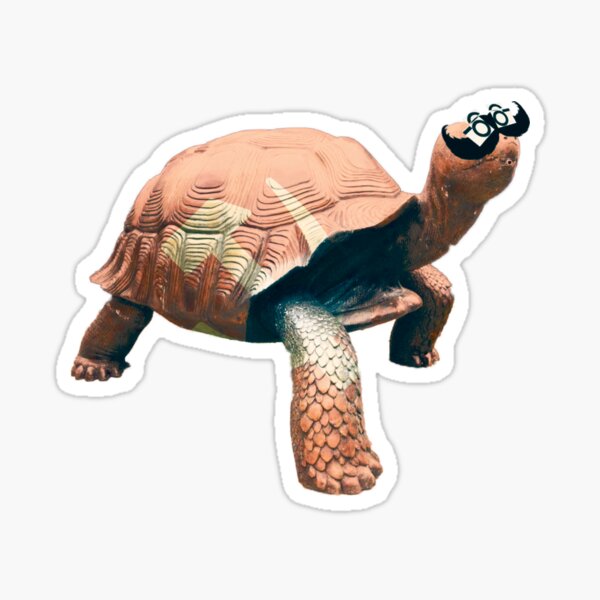 Xi-Jinpings Turtle Sticker