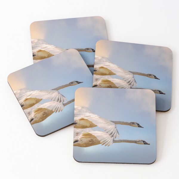 Item preview, Swans In Flight North Wales  designed and sold by Darren Wilkes.