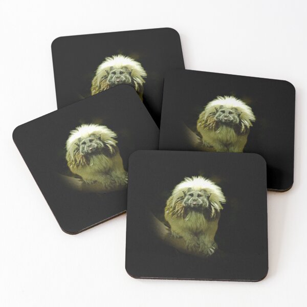 Item preview, Cotton -top tamarin designed and sold by Guardi71.