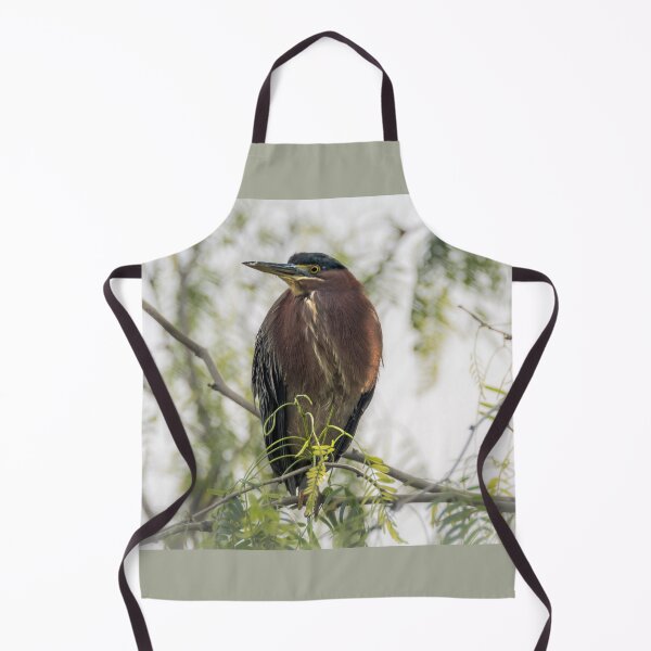 Item preview, Green Heron Perched designed and sold by Debra Martz.