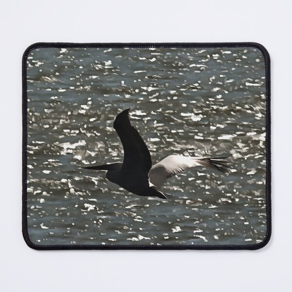 Item preview, Pelican Flying Over Shimmering Lake Bafa Grey Tones designed and sold by taiche.