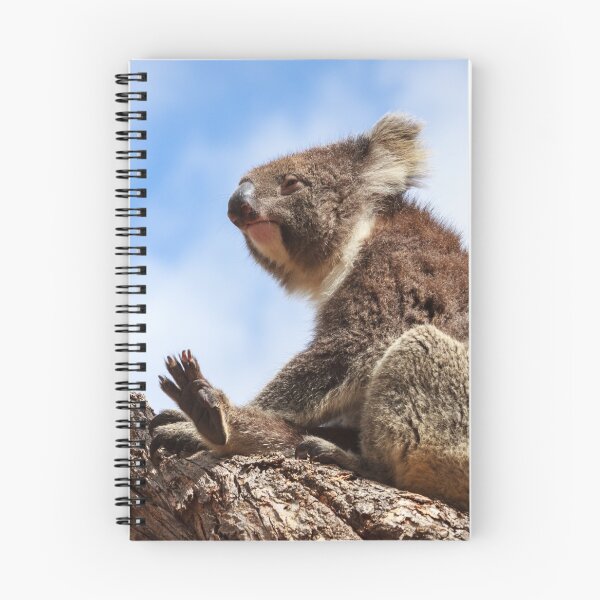 Item preview, Koala designed and sold by LizSB.