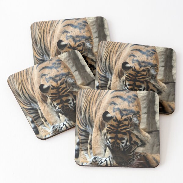 Item preview, Tiger Bath Time designed and sold by alexandriaiona.