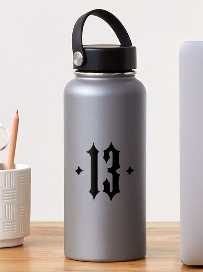 Custom Drawn Taylor Swift Stainless Steel Water Bottle – CrooksyClothing