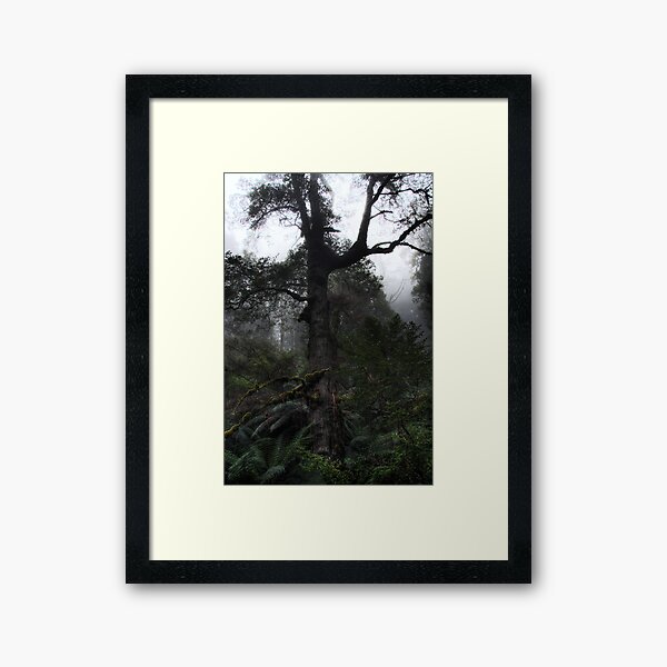 Item preview, Old man Beech tree designed and sold by Vicki Moritz.