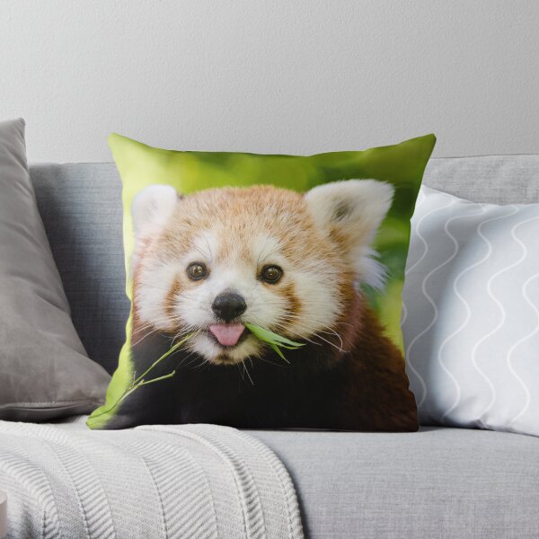 MegaUltraEpic Anime Japanese Anime Kawaii Red Panda Ramen Throw Pillow Multicolor 18x18 MegaUltraEpic Anime Japanese Anime Kawaii Red Panda Ramen Throw Pillow Multicolor 18x18