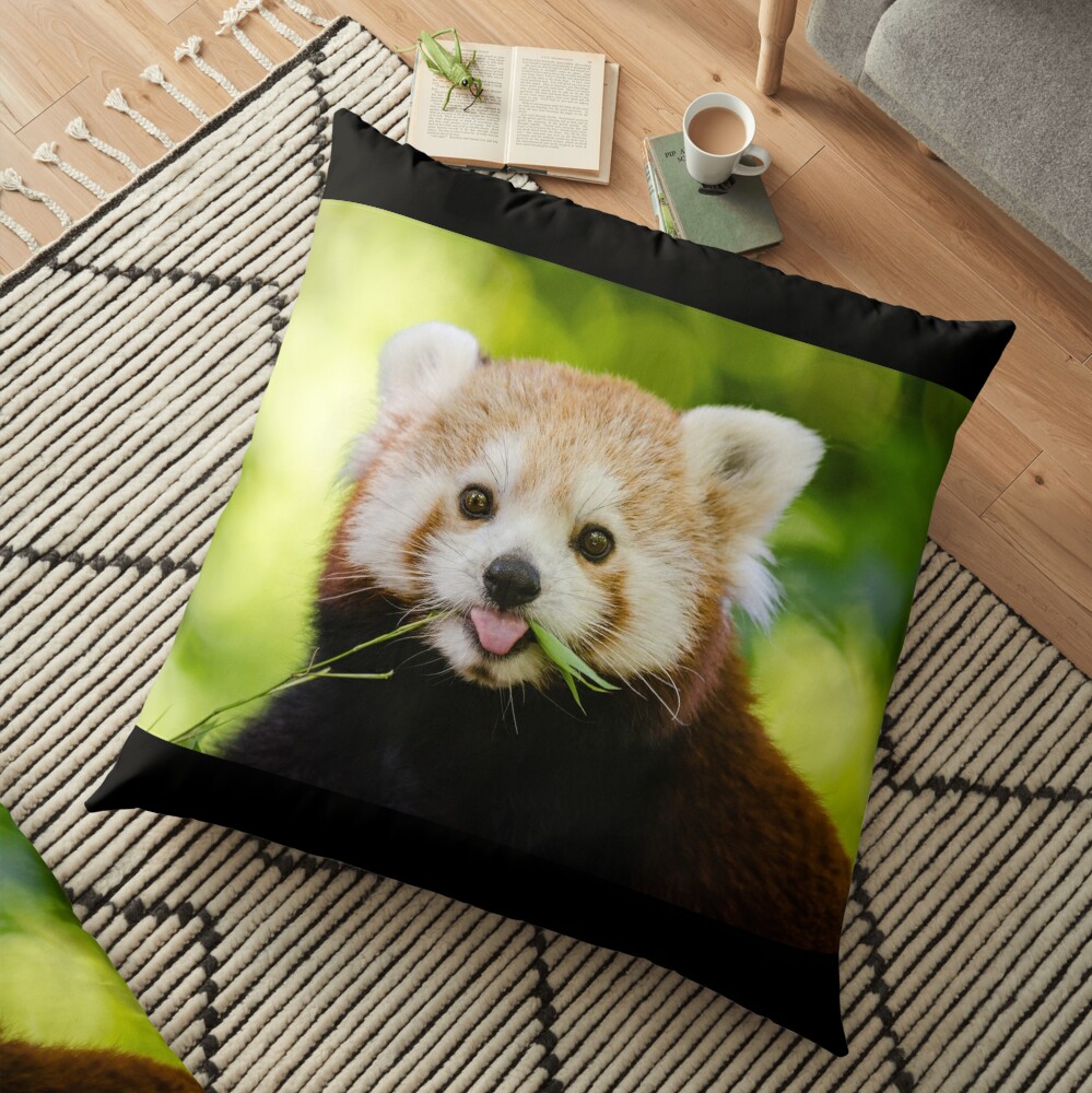 cuddly red panda