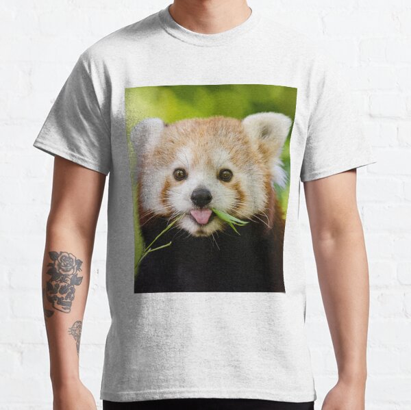 Cute Cuddly Red Panda Classic T-Shirt