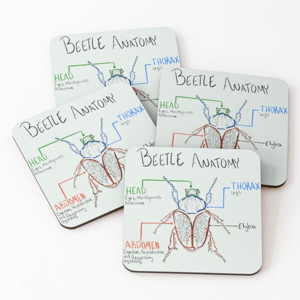 Item preview, Beetle Anatomy designed and sold by Newt Beetle.