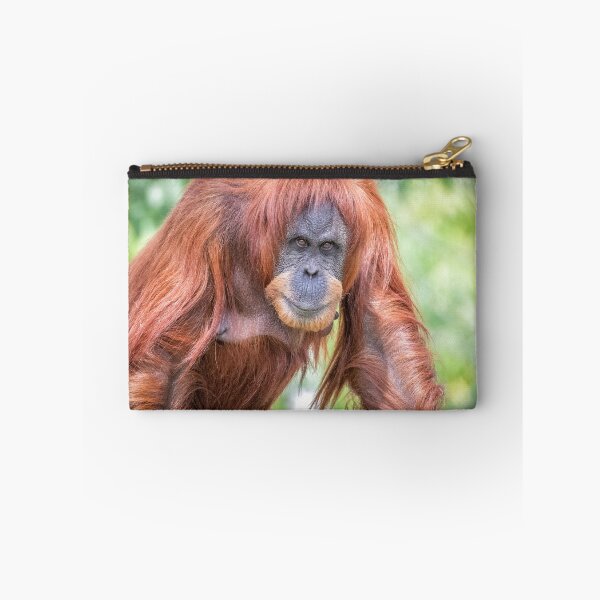Item preview,  Sumatran Orangutan Sumatra designed and sold by Darren Wilkes.