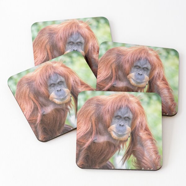 Item preview,  Sumatran Orangutan Sumatra designed and sold by Darren Wilkes.