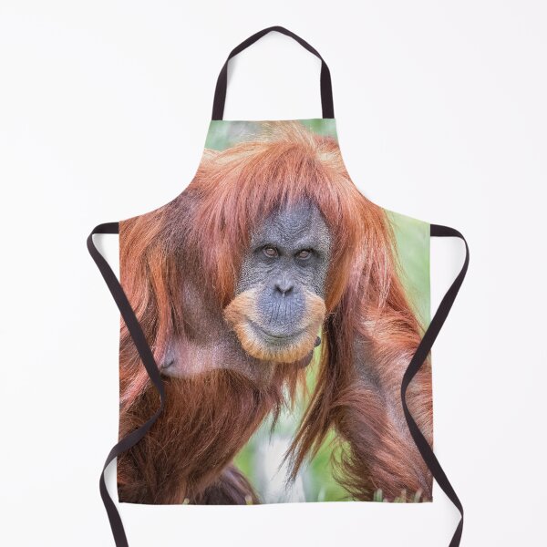 Item preview,  Sumatran Orangutan Sumatra designed and sold by Darren Wilkes.