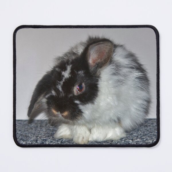 Item preview, Introducing Rowan designed and sold by Krys Bailey.