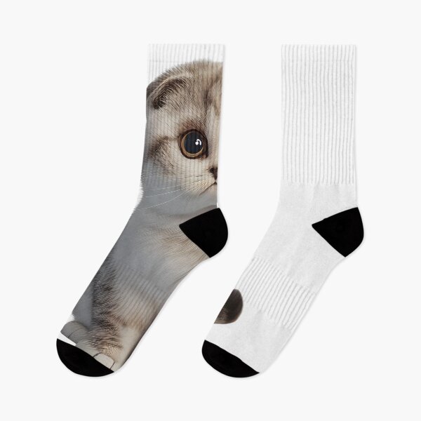 Item preview, Cute Baby Scottish Fold Cat designed and sold by PlanetDino.