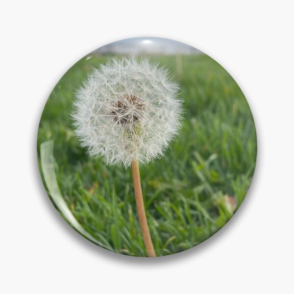 Item preview, Dandelion designed and sold by abstractallie4.