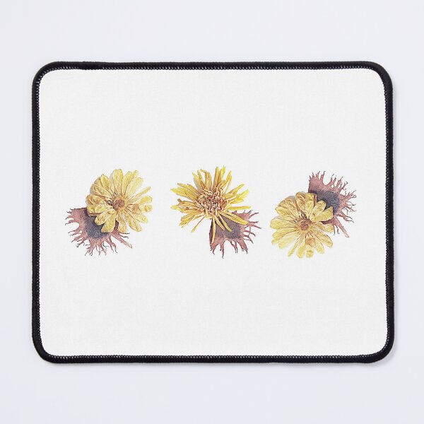 Artikelvorschau, six pressed flowers entworfen und verkauft von Bethan Rose Studio.