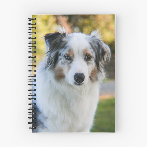 Item preview, Australian Shepherd Blue Merle Tri Colored Eyes designed and sold by Lisza Anne McKee.