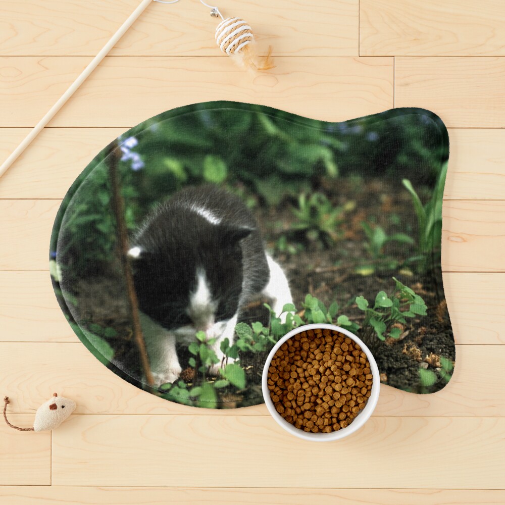 Artikel-Vorschau von Napfunterlage für Katzen, designt und verkauft von Gourmetkater.