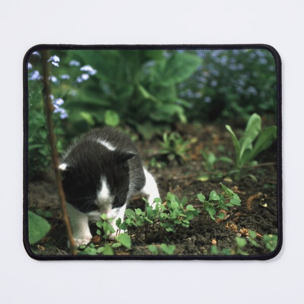 Item preview, Little tomcat Robby designed and sold by Gourmetkater.