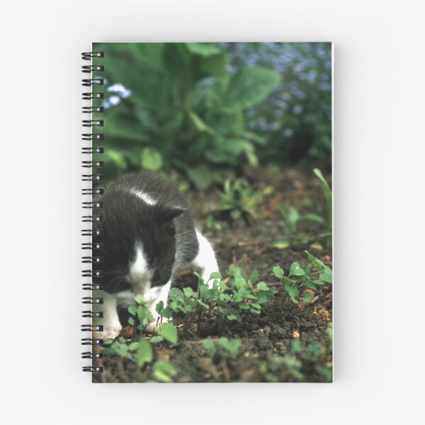 Item preview, Little tomcat Robby designed and sold by Gourmetkater.