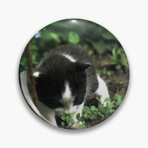 Item preview, Little tomcat Robby designed and sold by Gourmetkater.