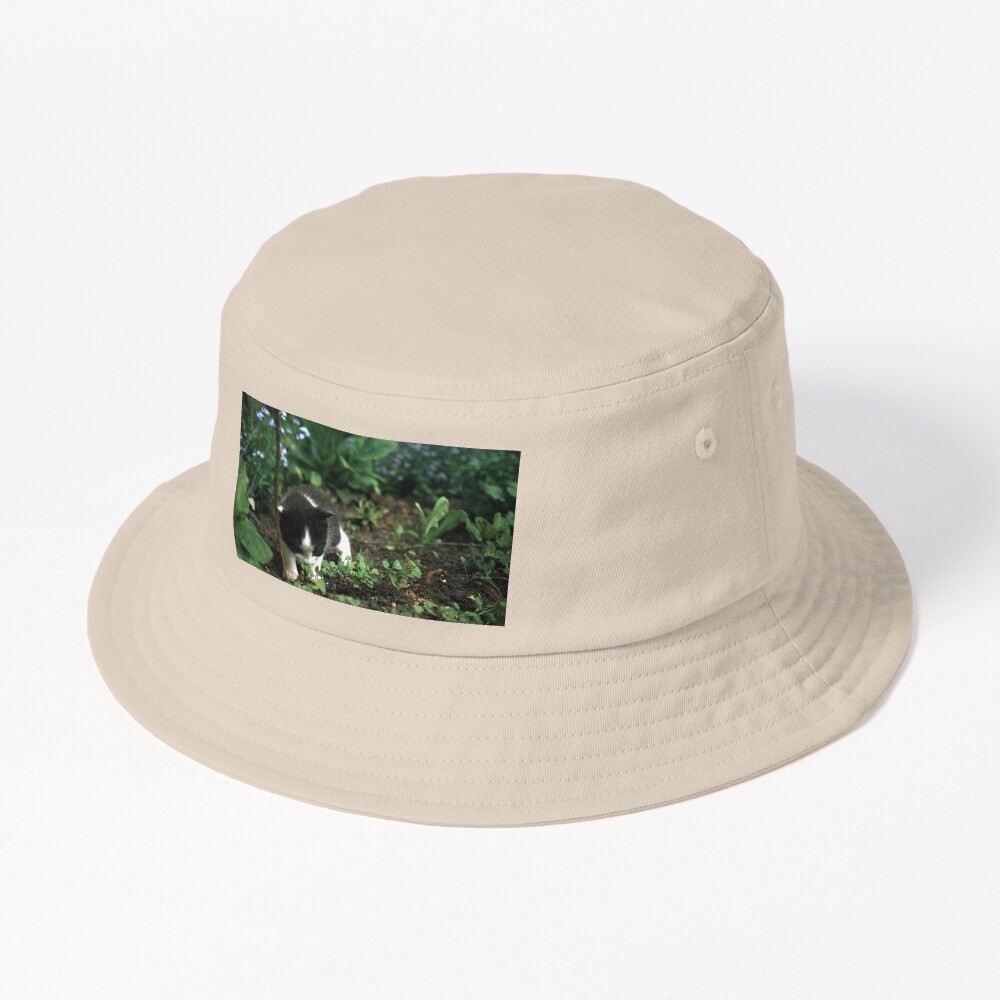 Artikel-Vorschau von Bucket Hat, designt und verkauft von Gourmetkater.