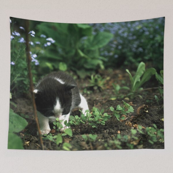 Item preview, Little tomcat Robby designed and sold by Gourmetkater.