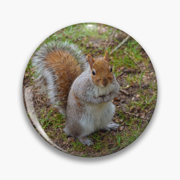 Item preview, Cheeky Squirrel designed and sold by LMShankland.