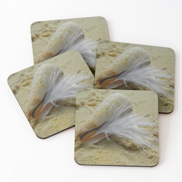 Item preview, Shell with feather designed and sold by GizzGazz.