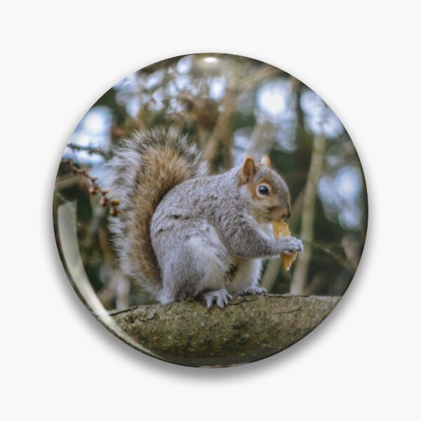 Item preview, Kelvingrove Squirrel designed and sold by LMShankland.