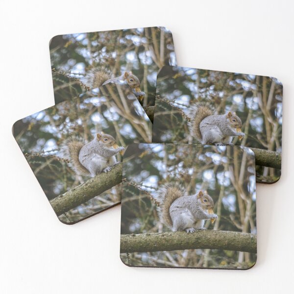 Item preview, Kelvingrove Squirrel designed and sold by LMShankland.