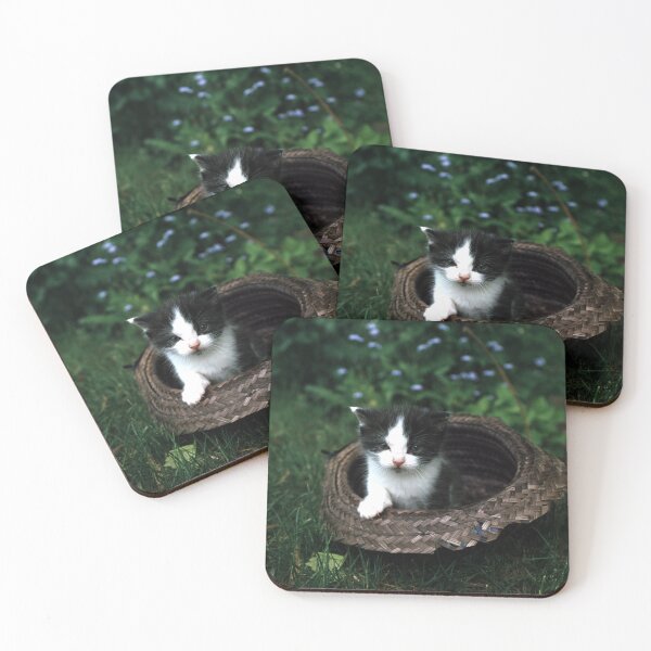 Item preview, Little tomcat Robby in the hat designed and sold by Gourmetkater.