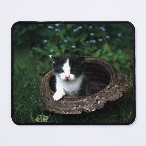 Item preview, Little tomcat Robby in the hat designed and sold by Gourmetkater.