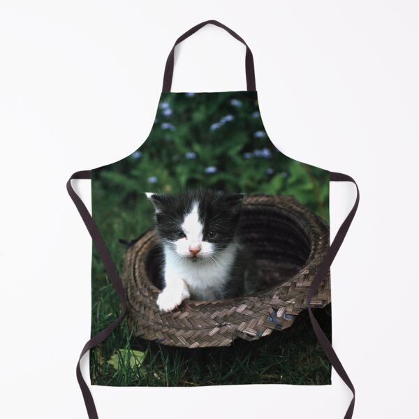Item preview, Little tomcat Robby in the hat designed and sold by Gourmetkater.