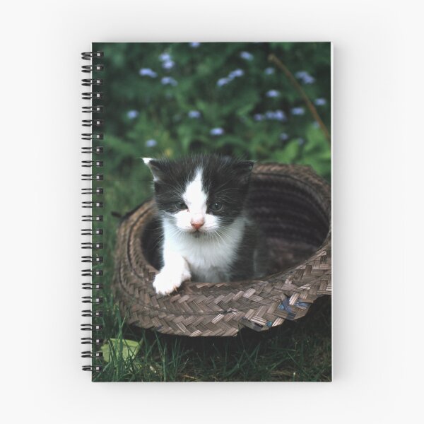 Item preview, Little tomcat Robby in the hat designed and sold by Gourmetkater.