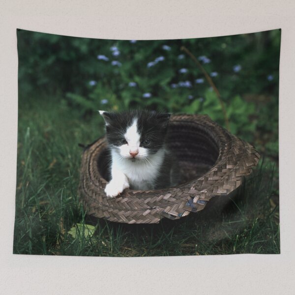 Item preview, Little tomcat Robby in the hat designed and sold by Gourmetkater.
